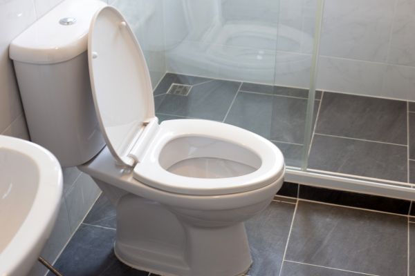 Cost of Toilet Replacement in Rowlett